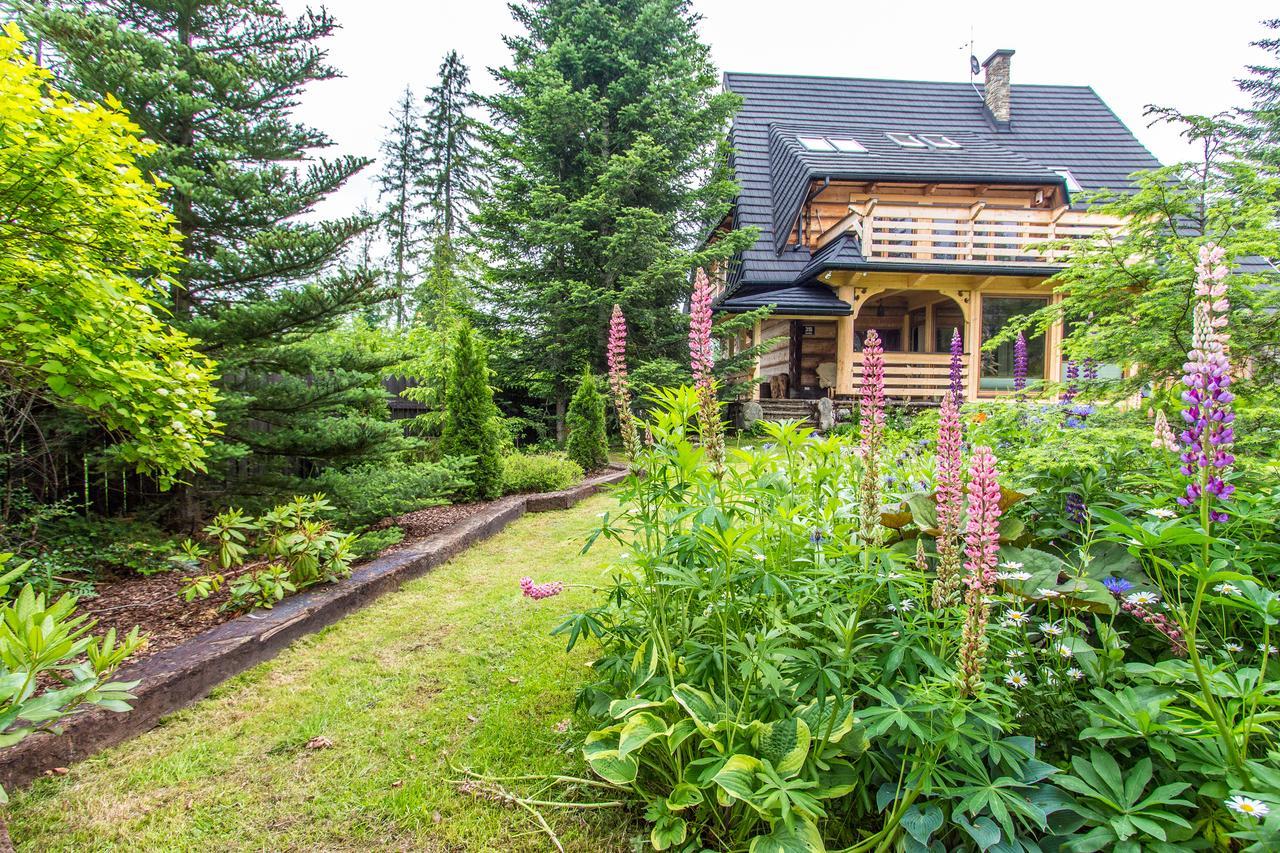 Apartamenty Bialy Potok Witów Exterior foto